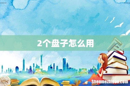 2个盘子怎么用