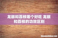 龙眼和荔枝哪个好吃 龙眼和荔枝的功效区别