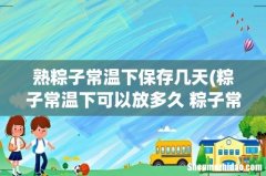 粽子常温下可以放多久 粽子常温下放置时长 熟粽子常温下保存几天
