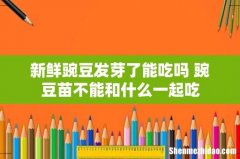 新鲜豌豆发芽了能吃吗 豌豆苗不能和什么一起吃