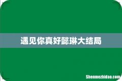 遇见你真好懿琳大结局