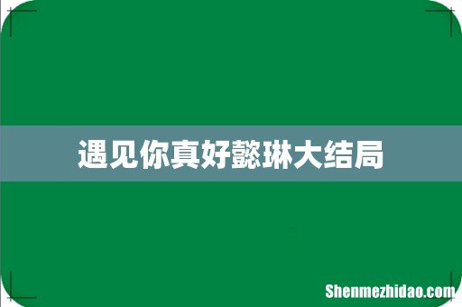 遇见你真好懿琳大结局