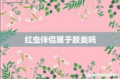 红虫伴侣属于胶类吗