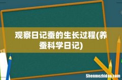 养蚕科学日记 观察日记蚕的生长过程