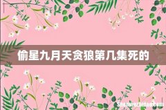 偷星九月天贪狼第几集死的