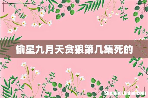 偷星九月天贪狼第几集死的