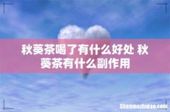 秋葵茶喝了有什么好处 秋葵茶有什么副作用