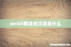 seckil翻译成汉语是什么