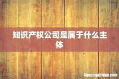 知识产权公司是属于什么主体