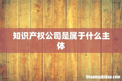 知识产权公司是属于什么主体