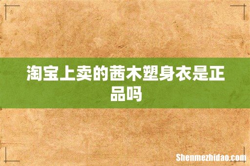 淘宝上卖的茜木塑身衣是正品吗