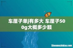 车厘子单j有多大 车厘子500g大概多少颗