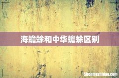 海蟾蜍和中华蟾蜍区别