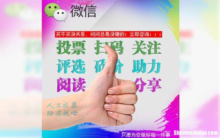 微信人工投票器怎么使用的价格多少钱一票