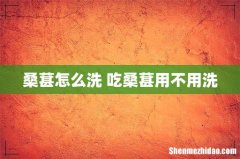 桑葚怎么洗 吃桑葚用不用洗