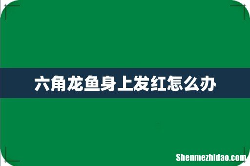 六角龙鱼身上发红怎么办