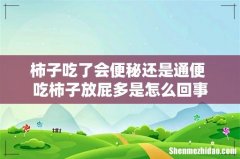 柿子吃了会便秘还是通便 吃柿子放屁多是怎么回事