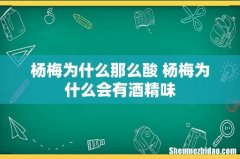 杨梅为什么那么酸 杨梅为什么会有酒精味