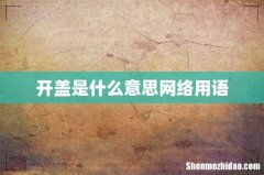 开盖是什么意思网络用语