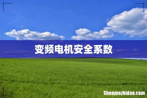 变频电机安全系数