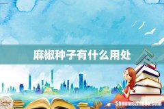麻椒种子有什么用处