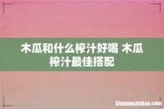 木瓜和什么榨汁好喝 木瓜榨汁最佳搭配