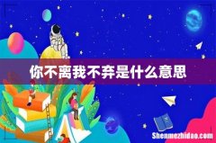 你不离我不弃是什么意思