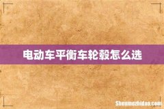 电动车平衡车轮毂怎么选