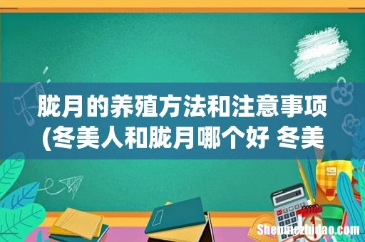冬美人和胧月哪个好 冬美人和胧月有什么区别 胧月的养殖方法和注意事项