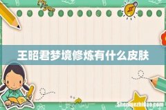 王昭君梦境修炼有什么皮肤