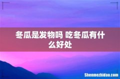 冬瓜是发物吗 吃冬瓜有什么好处