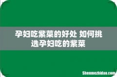孕妇吃紫菜的好处 如何挑选孕妇吃的紫菜