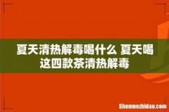 夏天清热解毒喝什么 夏天喝这四款茶清热解毒