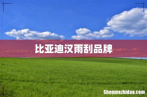 比亚迪汉雨刮品牌