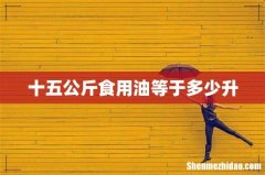 十五公斤食用油等于多少升
