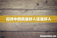 归鸿中鹧鸪是好人还是坏人