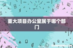 重大项目办公室属于哪个部门