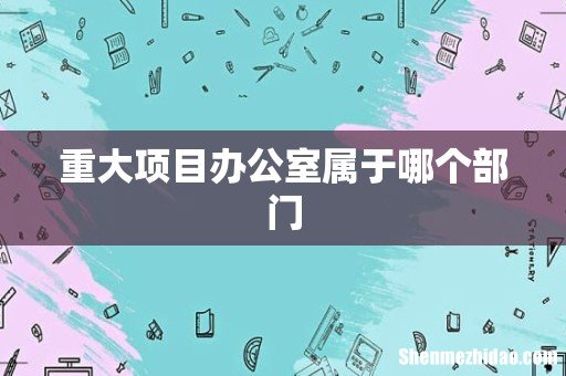 重大项目办公室属于哪个部门