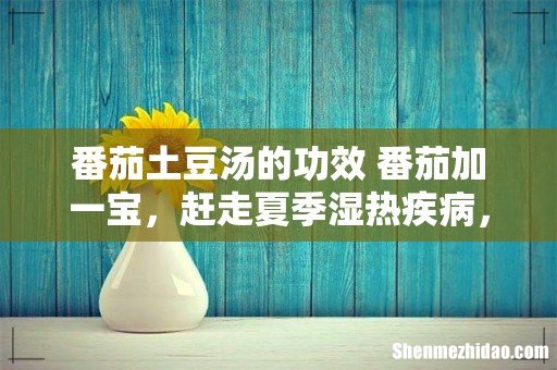 番茄土豆汤的功效 番茄加一宝,赶走夏季湿热疾病,可不能错过