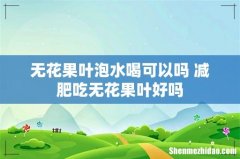 无花果叶泡水喝可以吗 减肥吃无花果叶好吗