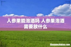 人参果能泡酒吗 人参果泡酒需要放什么