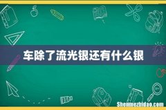 车除了流光银还有什么银