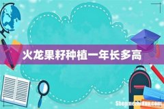 火龙果籽种植一年长多高