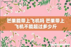 芒果能带上飞机吗 芒果带上飞机不能超过多少斤