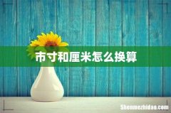 市寸和厘米怎么换算