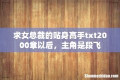 求女总裁的贴身高手txt2000章以后，主角是段飞