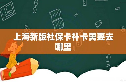 上海新版社保卡补卡需要去哪里