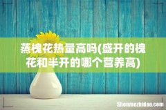 盛开的槐花和半开的哪个营养高 蒸槐花热量高吗