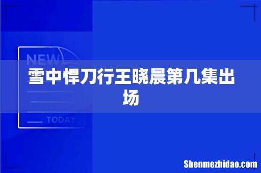 雪中悍刀行王晓晨第几集出场