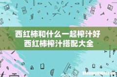 西红柿和什么一起榨汁好 西红柿榨汁搭配大全
